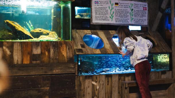 Barn ved Jyllandsakvariet