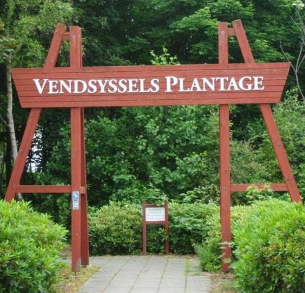 Vendsyssel Plantage, Løkken