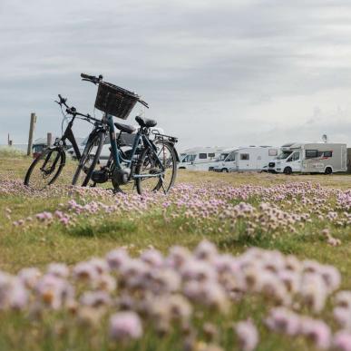 Kulturoplevelser WOW