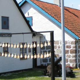 Hirtshals Museum 