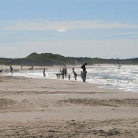 Tversted, strand